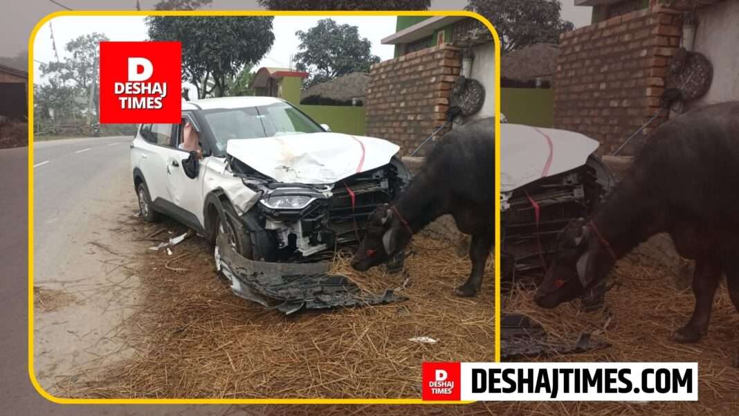 Darbhanga News | Darbhanga Accident News | Fierce collision between auto-car on Benipur-Biraul main road, condition of two people critical