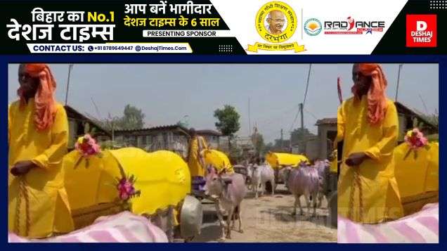 Madhubani News | Wedding like old films...No Helicopter, No Luxury Car...A wedding procession of 100 people accompanied the groom on 20 bullock carts.