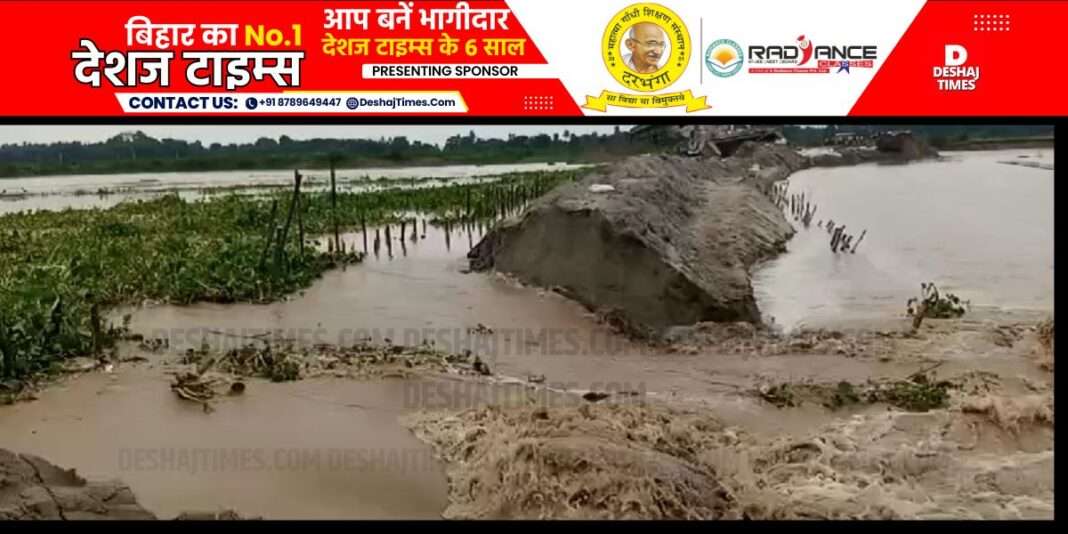 Bihar News| Araria News| Lo, another bridge under construction in Bihar collapsed, got trapped in the river...a goat worth Rs 12 crore.