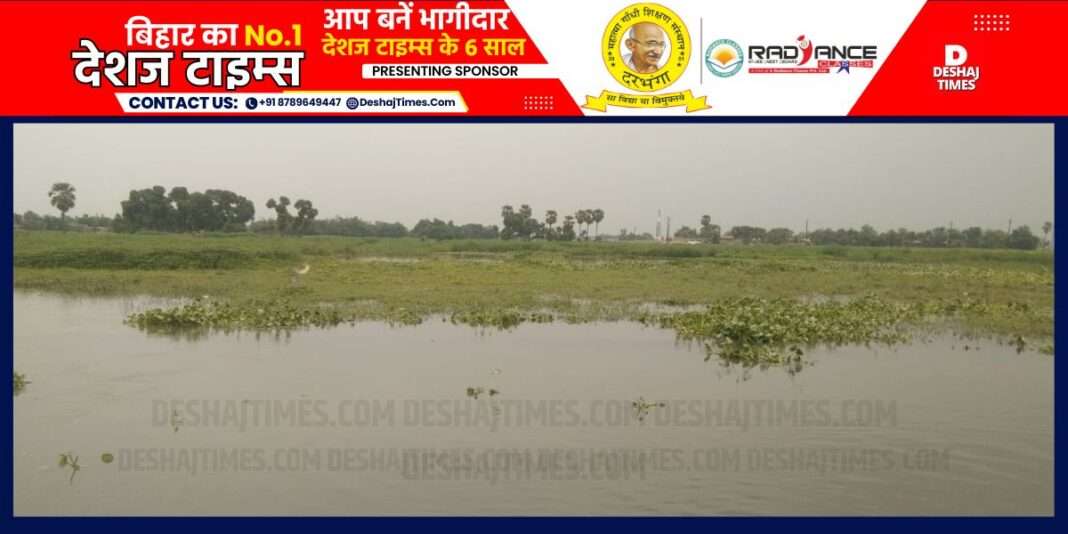 Darbhanga News| Smell of flood in Kiratpur of Biraul...Lower area inundated