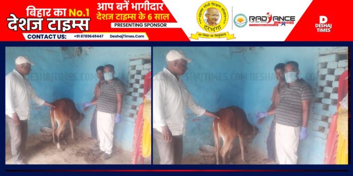 Darbhanga News| Jale News| The impact of increasing cyber crime is also on cattle farmers, OTP is not being given, vaccination is not being done.