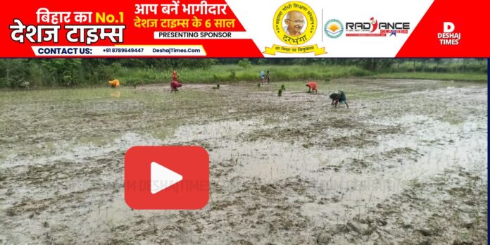 Darbhanga News|Kamtaul News| Watch VIDEO | Ghan-ganan-ganan... Now give up your stubbornness.... Black clouds, black clouds, please rain water, farmers are worried due to lack of rain in Kamtal of Darbhanga, see VIDEO. Darbhanga News|Kamtaul News| Watch VIDEO | Ghan-ganan-ganan... Now give up your stubbornness.... Black clouds, black clouds, please rain water, farmers are worried due to lack of rain in Kamtal of Darbhanga, see VIDEO.