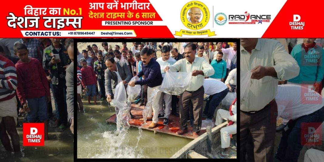 River Ranching in Darbhanga, 2.60 Lakh Fingerlings Stocked in Ganga River System of Kareh । DeshajTimes.Com