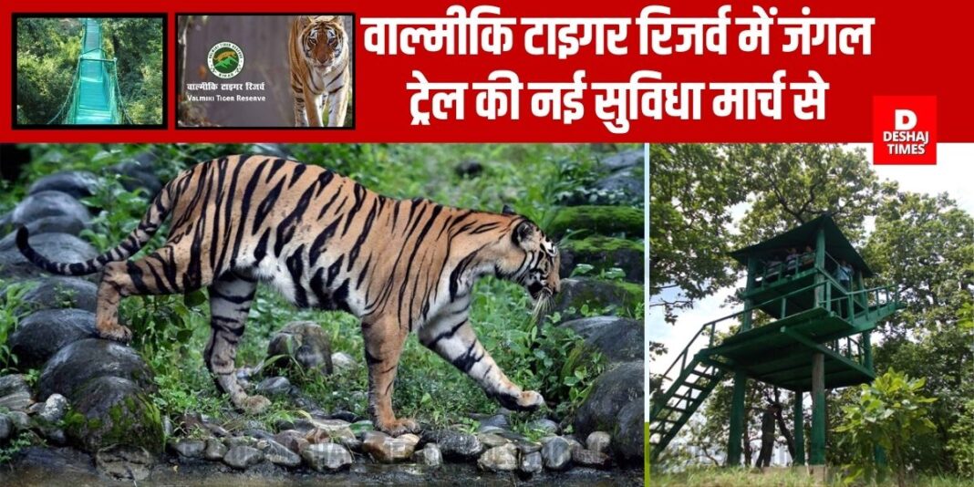 New facility of jungle trail in West Champaran Valmiki Tiger Reserve from March | DeshajTimes.Com