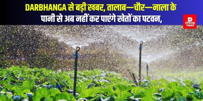 DeshajTimes.Com - 2025-02-19T203312.607