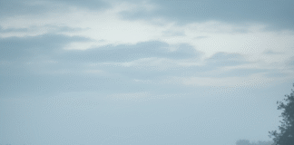 Bihar Weather Update: बिहार में मौसम का ‘डबल’ अटैक? दिन में गर्मी, रात में ठंड के बीच अब 40 की रफ्तार से चलेंगी हवाएं!