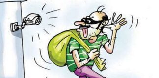 जाले में पांच गायों की चोरी से हड़कंप, संदिग्ध की गतिविधियों से गहराया शक