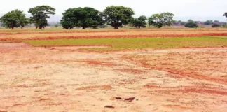 Darbhanga में सैनिक की पुस्तैनी जमीन पर फसाद, अपने ही निकले बेगाने