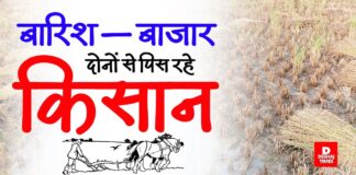 मशीन और मजदूर दोनों नदारद… Darbhanga में त्राहिमाम— बारिश और बाजार दोनों से पिस रहे किसान