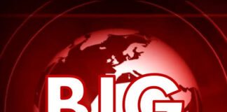 बिहार में माफियाओं पर अब तक का सबसे बड़ा एक्शन, 1200 से ज़्यादा लोगों की संपत्ति होगी जब्त?