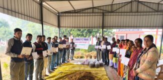 साधारण नहीं मशरूम क्रांति कहिए: दरभंगा के युवा बनेंगे आत्मनिर्भर, मिला नया गुरु मंत्र