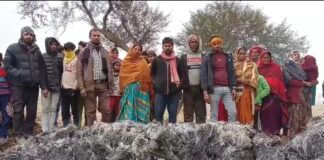 Bhagalpur News: भागलपुर के सन्हौला में असामाजिक तत्वों ने लगाई 5 एकड़ धान की फसल में आग, किसानों की मेहनत राख