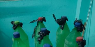 भागलपुर के सन्हौला में शराब तस्करों पर गाज, 20 लीटर देसी, बाइक जब्त, तस्कर फरार