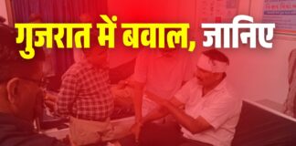 Gujarat Mob Attack: गुजरात में जंगलराज! 500 लोगों की भीड़ का पुलिस-वन विभाग पर तीरों से हमला, 47 अधिकारी घायल Gujarat Mob Attack: