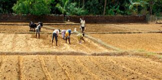 बिहार लैंड बैंक: खाली ज़मीन पर उद्योगों का महासंग्राम, विकास को मिलेगी नई रफ्तार