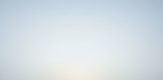 बिहार में शीतलहर की दस्तक: घने कोहरे की चादर में लिपटी सुबह, पारा और गिरेगा! Bihar News Deshaj Times