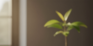 ‘त’ से शुरू होने वाले आधुनिक नाम, जो आपकी लाडली को देंगे खास पहचान Bihar News Deshaj Times