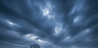 बिहार में मौसम का डबल अटैक! 30 की स्पीड से चलेंगी बर्फीली हवाएं, पारा लुढ़कने का अलर्ट जारी Bihar News Deshaj Times