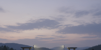 भारत-नेपाल सीमा पर कड़ा पहरा: किशनगंज में तस्करों पर सुरक्षाबलों का शिकंजा Bihar News Deshaj Times