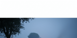 बुआ की डोली उठने से पहले उठी भतीजे की अर्थी, बारात में नाच रहे युवक को DJ गाड़ी ने कुचला Bihar News Deshaj Times