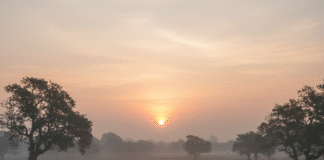 ब्रह्म मुहूर्त में दिखें ये 4 सपने तो समझें, बदल जाएंगे आपके अच्छे दिन! Bihar News Deshaj Times