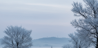 मुजफ्फरपुर में वेतन भुगतान का नया दौर: इस महीने से समर्थ पोर्टल संभालेगा सैलरी का हिसाब-किताब, क्या होंगे बदलाव? Bihar News Deshaj Times