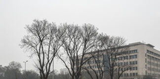 क्या नए साल में फिर बढ़ेंगी आपकी पसंदीदा गाड़ियों की Car Prices? Bihar News Deshaj Times