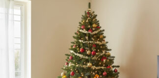 क्रिसमस ट्री वास्तु टिप्स: घर में लाएं सुख-समृद्धि, जानें सही दिशा और नियम Bihar News Deshaj Times