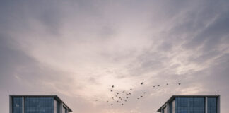 2025 का साल: जब कई भारतीय Startups ने कहा अलविदा, जानें प्रमुख कारण और प्रभाव Bihar News Deshaj Times