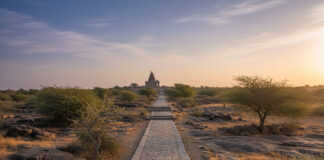 Numerology: मूलांक 8 के जातकों का संघर्ष और सफलता का पथ Bihar News Deshaj Times