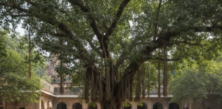 Spiritual Guidance: प्रेमानंद महाराज से जानिए, क्या नौकरी से निकालना पाप है? Bihar News Deshaj Times