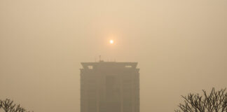 दिल्ली के बढ़ते प्रदूषण के कारण एक बड़े कॉर्पोरेट अधिकारी का इस्तीफा: क्या है इस फैसले के मायने? Bihar News Deshaj Times