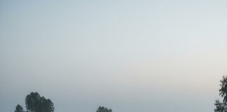 Driving in Fog Tips: कोहरे में गाड़ी चलाते समय अपनाएं ये आसान तरीके Bihar News Deshaj Times