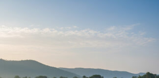 Tata Harrier Petrol: माइलेज में रिकॉर्ड तोड़, क्या होगी इसकी कीमत और खासियत? Bihar News Deshaj Times