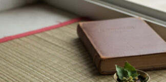 तुलसी माला रूल्स: जानिए तुलसी माला धारण करने के संपूर्ण नियम और अद्भुत लाभ Bihar News Deshaj Times