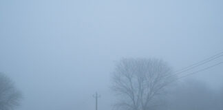 सर्दियों में कार फॉग: सुरक्षित ड्राइविंग के लिए अपनाएं ये आसान ट्रिक्स Bihar News Deshaj Times