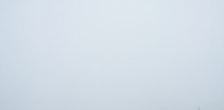 कोहरे का कहर: मुजफ्फरपुर में बस-ट्रक की भीषण टक्कर, ड्राइवर गंभीर Bihar News Deshaj Times