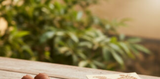 ट्रेंडिंग मेहंदी डिज़ाइन्स: हाथों की खूबसूरती बढ़ाने के आसान तरीके Bihar News Deshaj Times