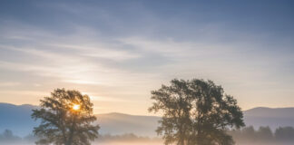 Birth Time Personality: सुबह 4 से 5 बजे जन्मे लोग क्यों होते हैं खास, जानिए उनके अद्भुत रहस्य! Bihar News Deshaj Times