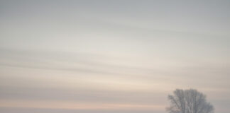 सर्दियों में कार ड्राइविंग: कोहरे में सुरक्षित ड्राइव के लिए अपनाएं ये आसान तरीके! Bihar News Deshaj Times