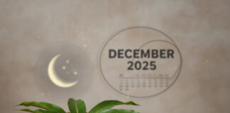 Pradosh Vrat December 2025: साल का अंतिम प्रदोष व्रत और दुर्लभ शुभ योग Bihar News Deshaj Times