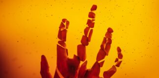 Explosives Seizure: टोंक में 150 KG विस्फोटक, 200 कारतूस बरामद, दो गिरफ्तार; नए साल से पहले बड़ी साजिश का पर्दाफाश!