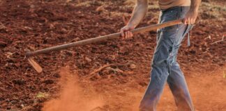 Bihar Land News: सरकारी जमीन पर कब्जे की कोशिश पड़ेगी महंगी, अधिकारियों को मिला होम वर्क