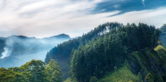 अब स्टेशन नहीं, एयरपोर्ट जैसा अनुभव! Bihar के रेलवे स्टेशनों पर रेलवे का मास्टर ‘ मिशन ’, जानिए