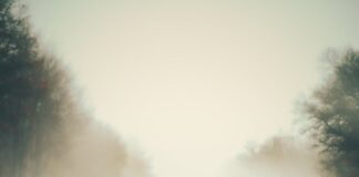 अब स्टेशन नहीं, एयरपोर्ट जैसा अनुभव! Bihar के रेलवे स्टेशनों पर रेलवे का मास्टर ‘ मिशन ’, जानिए