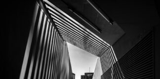 Bihar New Year: नए साल पर हुड़दंगियों की खैर नहीं, पुलिस ने बाइकर्स गैंग पर नकेल कसने का बनाया ये तगड़ा प्लान