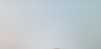 Patna to Rajgir Bus: नए साल पर बिहार को सौगात, पटना से राजगीर के लिए चलेगी स्पेशल बस सेवा