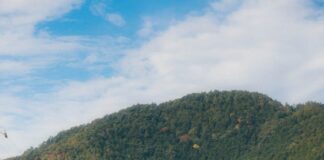 Bihar Tourism: बिहार में नई क्रांति, फेमस टूरिस्ट प्लेस तक दौड़ेंगी 40 ई-बसों का बेड़ा