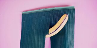 Rajgir Sex Racket: ऑर्केस्ट्रा की आड़ में देह व्यापार का घिनौना खेल, पढ़िए काले धंधे का खुलासा