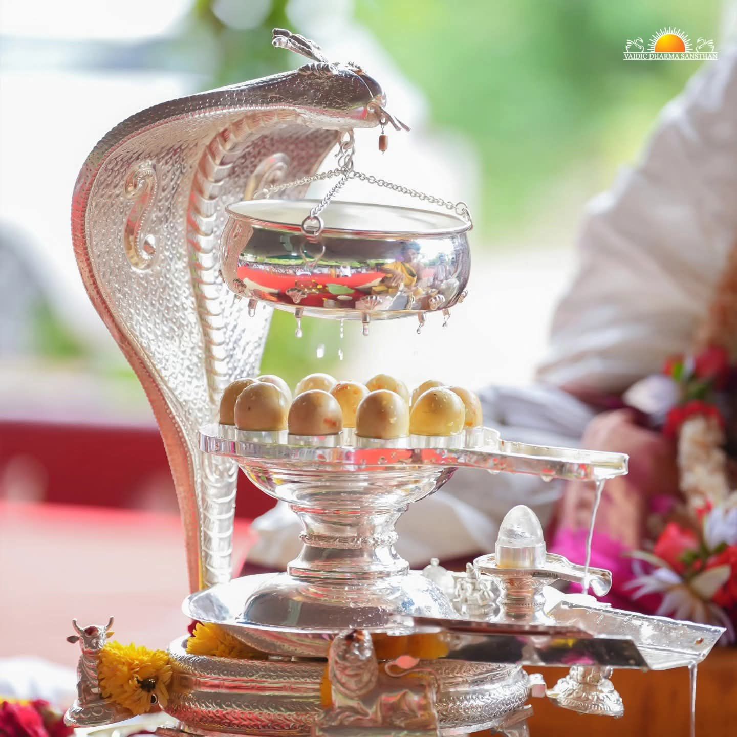 Somnath Jyotirlinga: 1000 साल बाद भोपाल में ऐतिहासिक रुद्र पूजा, जानें हवा में तैरने वाले शिवलिंग का अद्भुत रहस्य